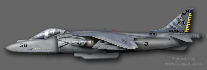 Harrier II+ AV-8B 165307 VMA-542 USMC